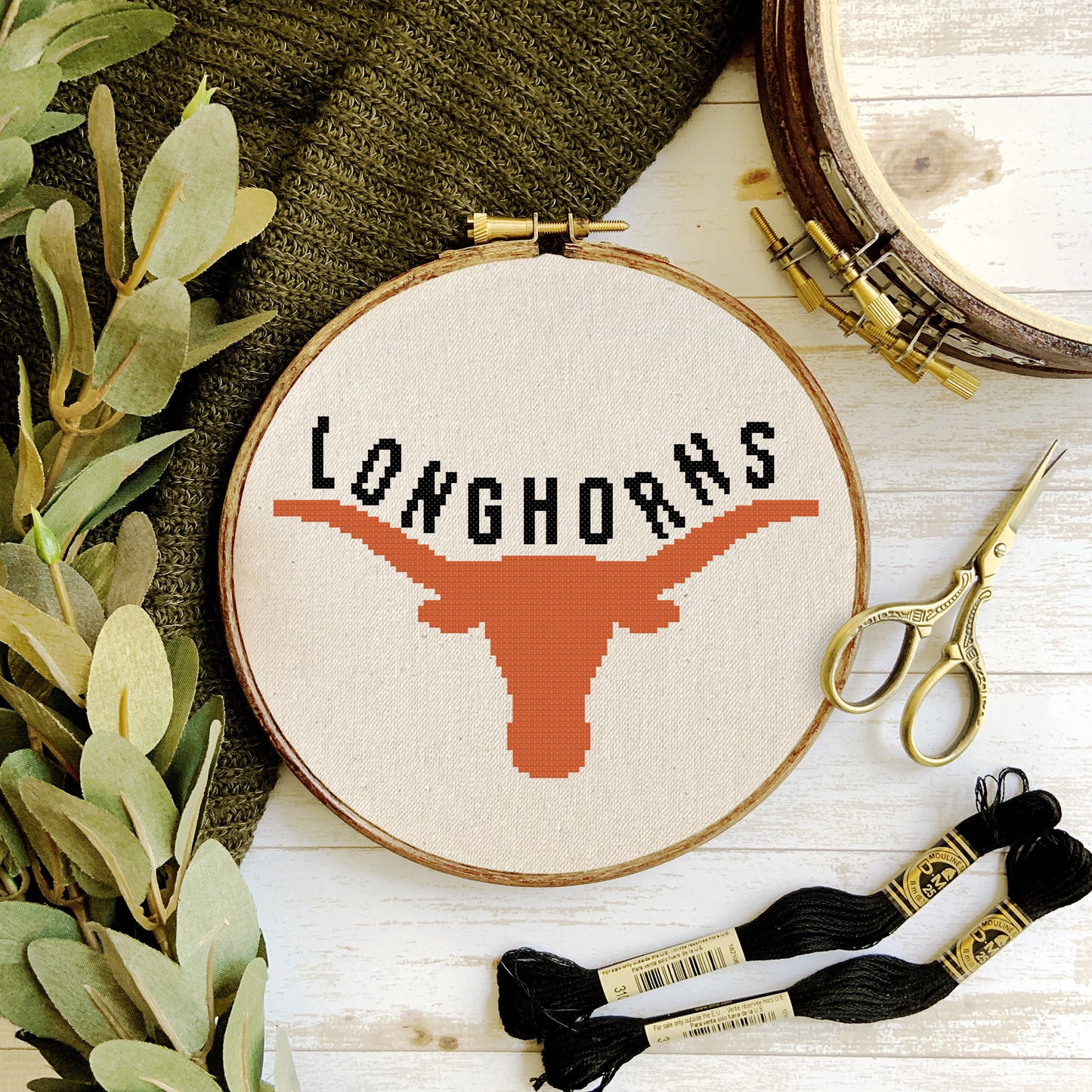 Texas Longhorn Football