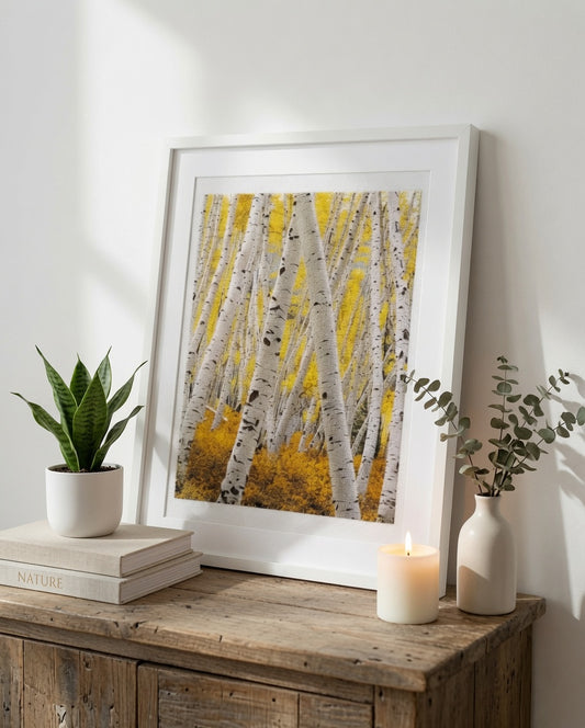 Autumn Aspens