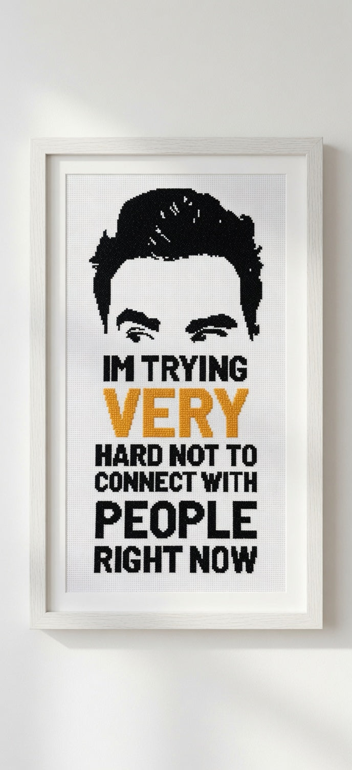 Schitt's Creek - David Quote