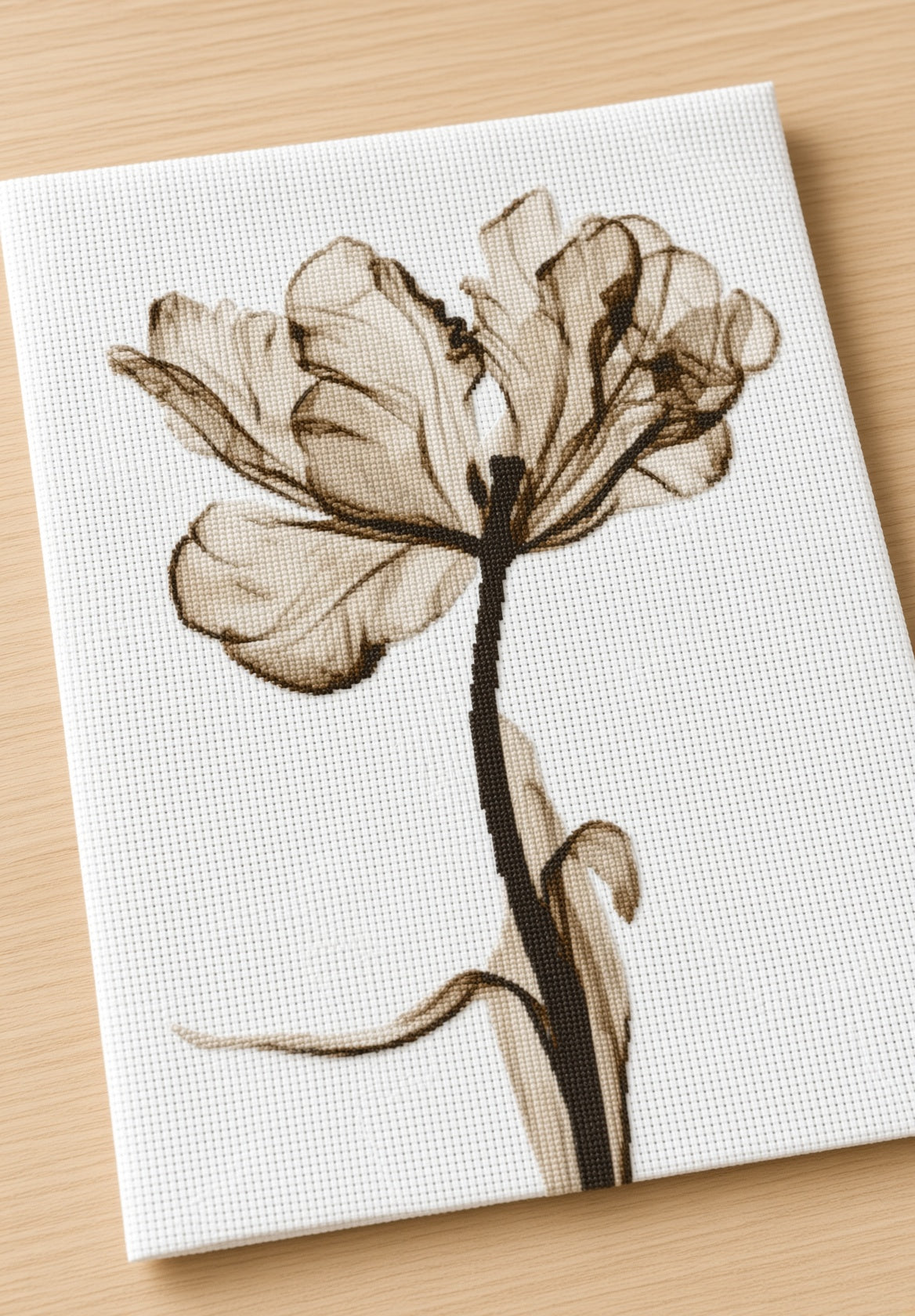 Poppy Flower in Translucent Monochrome