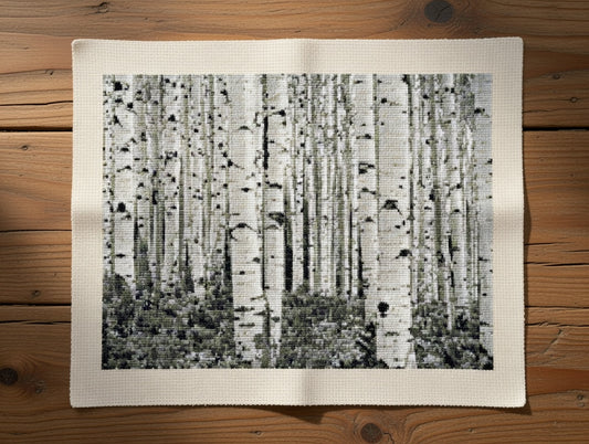 Aspen Trees Landscape