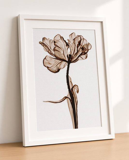 Poppy Flower in Translucent Monochrome